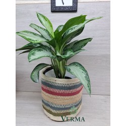 Large Jute Planter