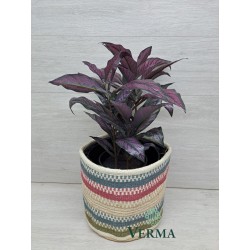 Medium Jute Planter