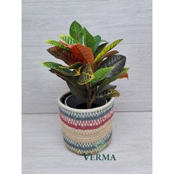 Small Jute Planter