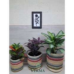 Set of Jute Planters