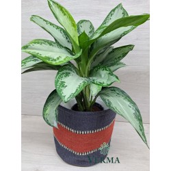 Large Jute Planter