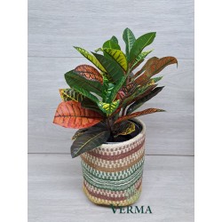 Small Jute Planter